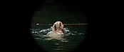 theriverwhy01129.jpg