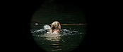 theriverwhy01131.jpg