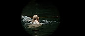 theriverwhy01134.jpg