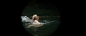 theriverwhy01135.jpg