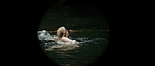 theriverwhy01136.jpg