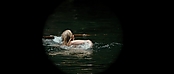 theriverwhy01138.jpg