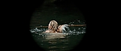 theriverwhy01146.jpg