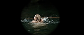 theriverwhy01147.jpg