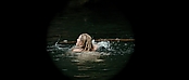 theriverwhy01148.jpg