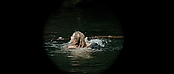 theriverwhy01149.jpg