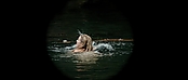 theriverwhy01150.jpg