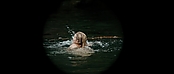 theriverwhy01152.jpg
