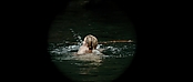theriverwhy01153.jpg
