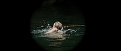 theriverwhy01154.jpg