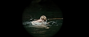 theriverwhy01155.jpg