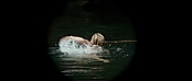 theriverwhy01157.jpg