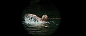 theriverwhy01158.jpg
