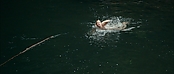 theriverwhy01161.jpg