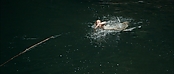 theriverwhy01162.jpg