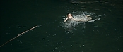 theriverwhy01163.jpg