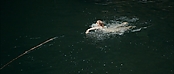 theriverwhy01167.jpg