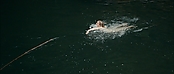theriverwhy01168.jpg