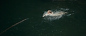 theriverwhy01169.jpg