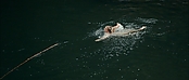 theriverwhy01174.jpg