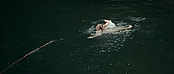 theriverwhy01175.jpg