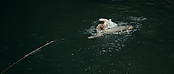 theriverwhy01176.jpg