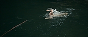 theriverwhy01177.jpg
