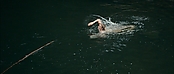 theriverwhy01178.jpg