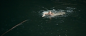 theriverwhy01182.jpg