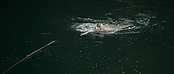 theriverwhy01185.jpg