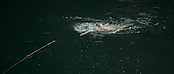 theriverwhy01186.jpg