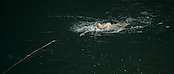 theriverwhy01188.jpg
