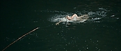 theriverwhy01189.jpg