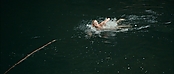 theriverwhy01193.jpg