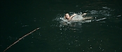 theriverwhy01194.jpg