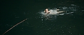 theriverwhy01195.jpg