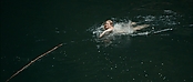 theriverwhy01196.jpg