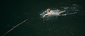 theriverwhy01197.jpg