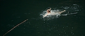 theriverwhy01198.jpg