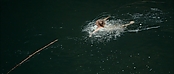 theriverwhy01199.jpg