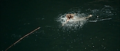 theriverwhy01200.jpg