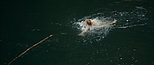 theriverwhy01202.jpg