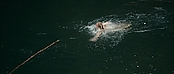 theriverwhy01203.jpg