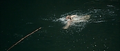 theriverwhy01204.jpg