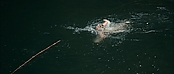 theriverwhy01206.jpg