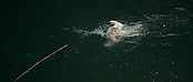 theriverwhy01207.jpg