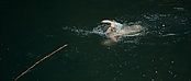 theriverwhy01208.jpg