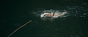 theriverwhy01212.jpg