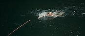 theriverwhy01214.jpg