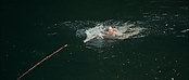 theriverwhy01215.jpg